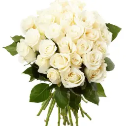 Loly Lody 8 Bouquet